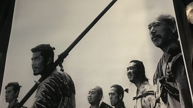 园林绿化苗木种植的五大关键点**
