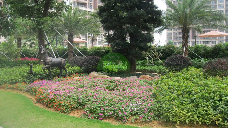 园林公司项目经理职责解析：关键角色与工作要点**