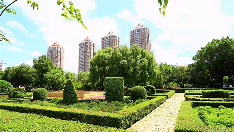 市政绿化养护不只是浇水剪枝，这三点决定公司是否靠谱