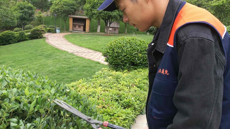 别墅庭院绿化预算怎么做：关键因素与合理规划