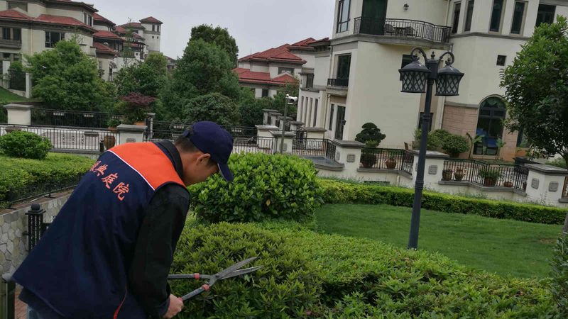 工厂绿化养护报价对比：揭秘影响因素与选择策略**