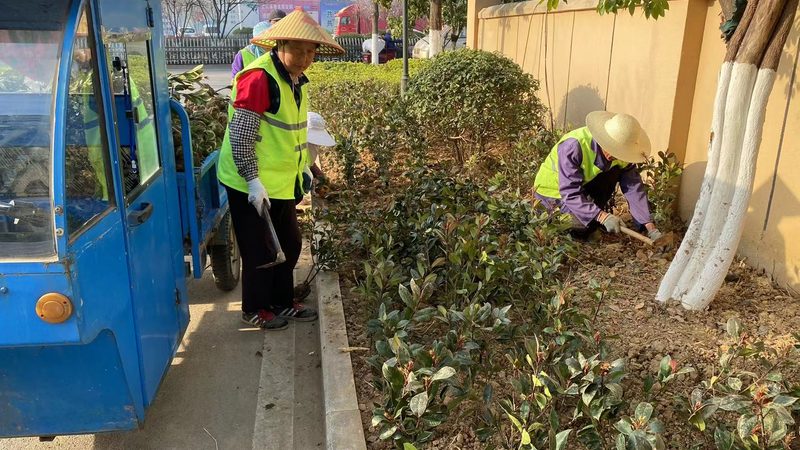 园林绿化工程报价与结算：本质区别与关键要点