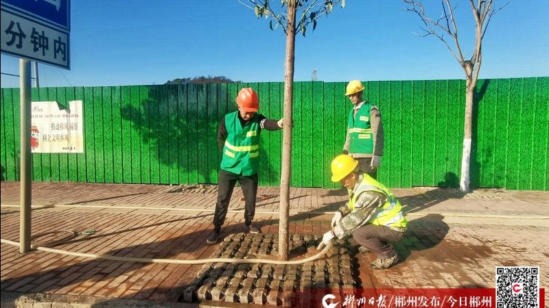 花园设计公司十大品牌排行榜背后的考量因素