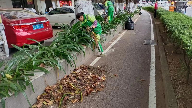 技术解析：如何提高反季节苗木种植成功率