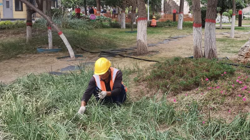 户外防腐木庭院装修，每平米报价揭秘