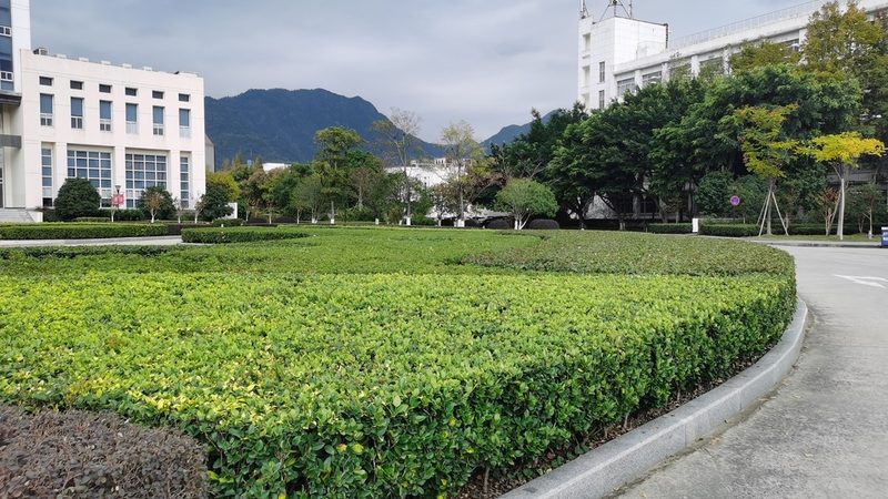 屋顶绿化报价单多少钱一平？揭秘屋顶绿化成本构成与影响因素
